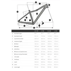 Scott Verkaufsgeschäft -Scott Verkaufsgeschäft scott contessa active geo 1424248 9